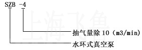 SZB型水環(huán)式真空泵型號(hào)說(shuō)明